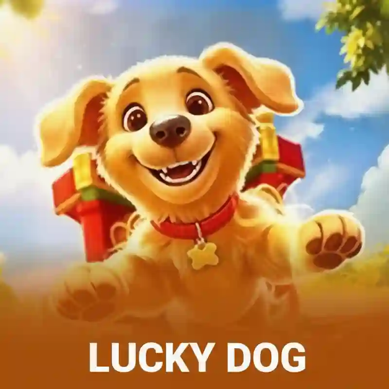 Lucky Dog